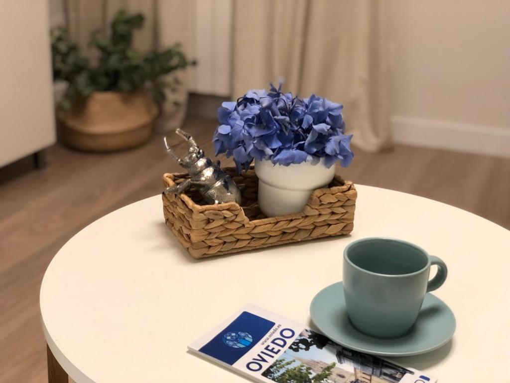 Apartamento Casa Güelita Oviedo